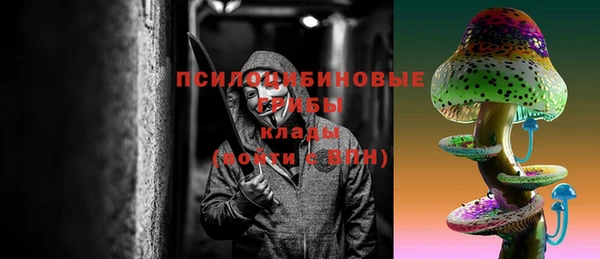 стаф Абаза