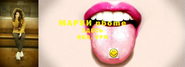 стаф Абаза