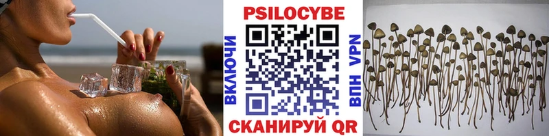 Псилоцибиновые грибы мухоморы  OMG зеркало  Елизаветинская  магазин продажи наркотиков 
