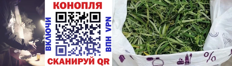 продажа наркотиков  Елизаветинская  ОМГ ОМГ ссылки  Шишки марихуана тримм 